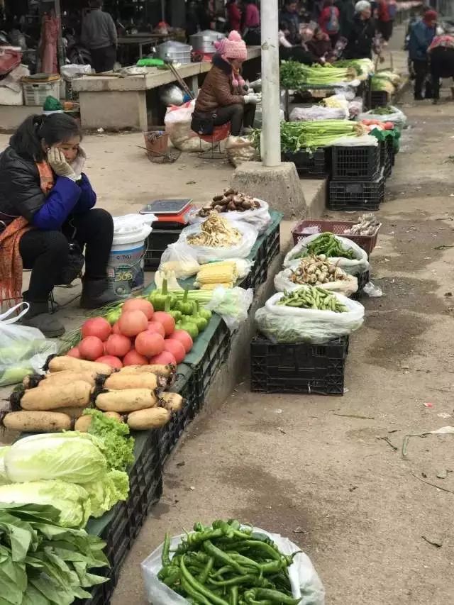 杨广减少人口_富大龙杨广