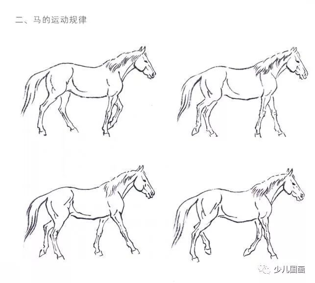 中国画技法马