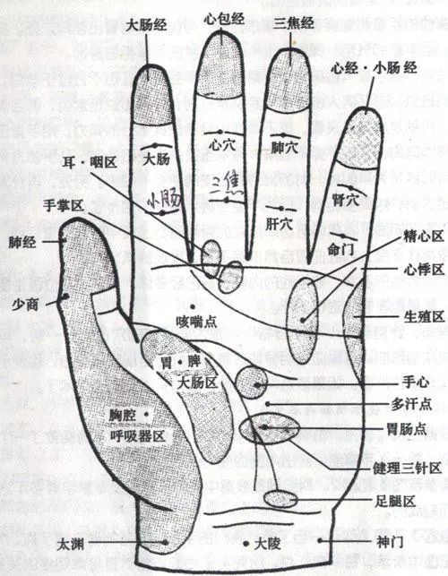 【戳我】了解人体手部穴位图(高清详解)图解大全