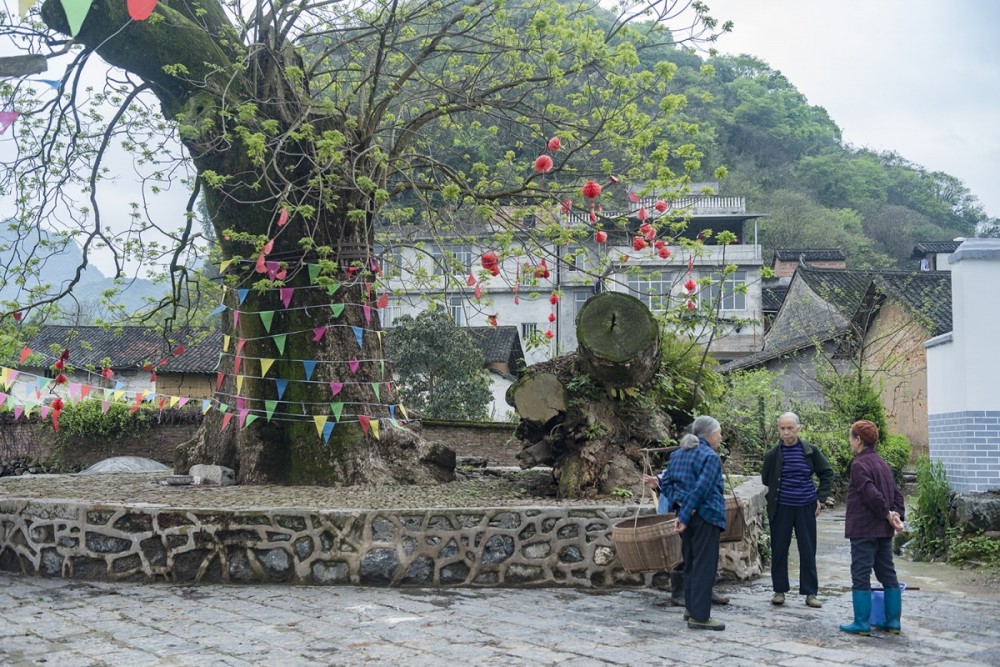 桂林永福:百寿岩的老人为何能活158岁?