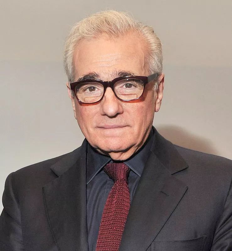 马丁·斯科塞斯(martin scorsese)     :《爱尔兰人》