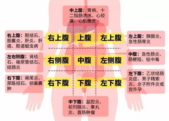 总是中上腹疼是怎么回事医生提醒注意3个疾病你会更长寿