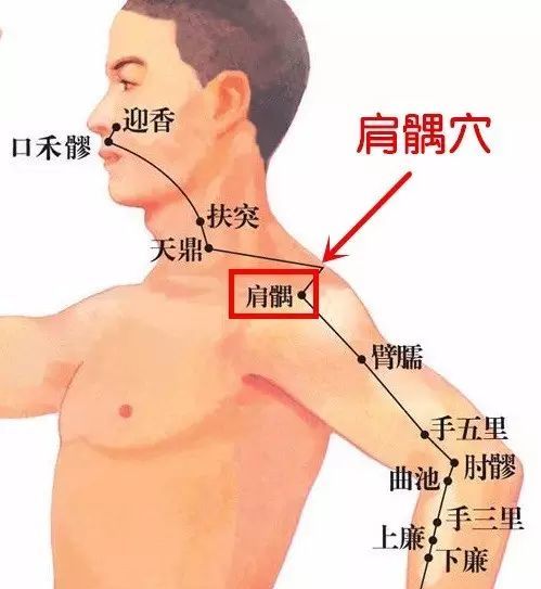 肩髃穴肩臂挛痛不遂瘾疹