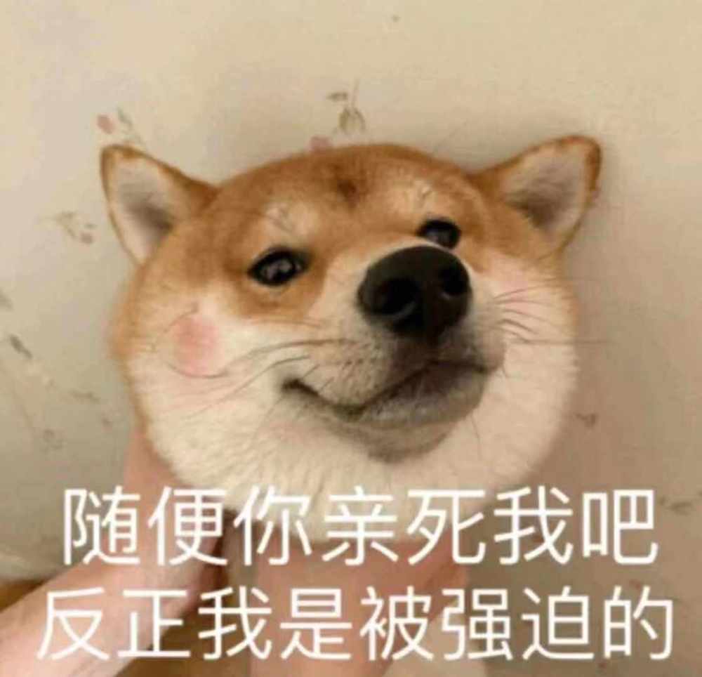 让人"笑出声"的表情包:你能养我吗?我真的不想上班了