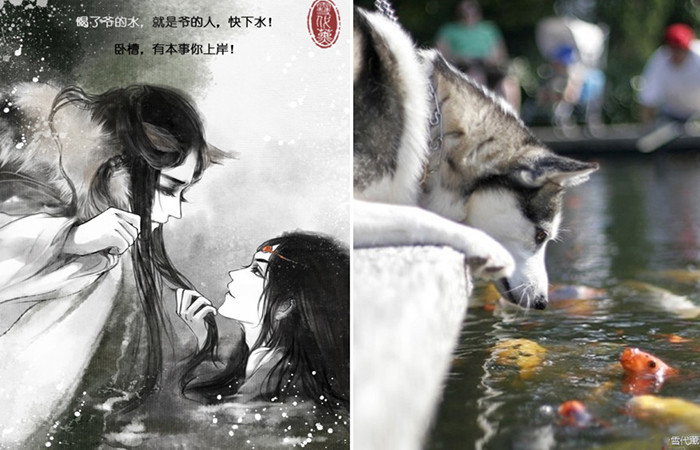 冲破次元壁的动物拟人化,二哈和金鱼都能组成cp,猫星人变小萌男