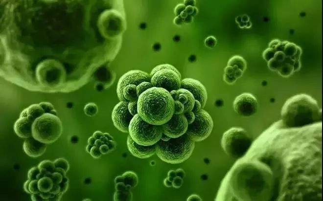 气溶胶究竟是怎样的存在?