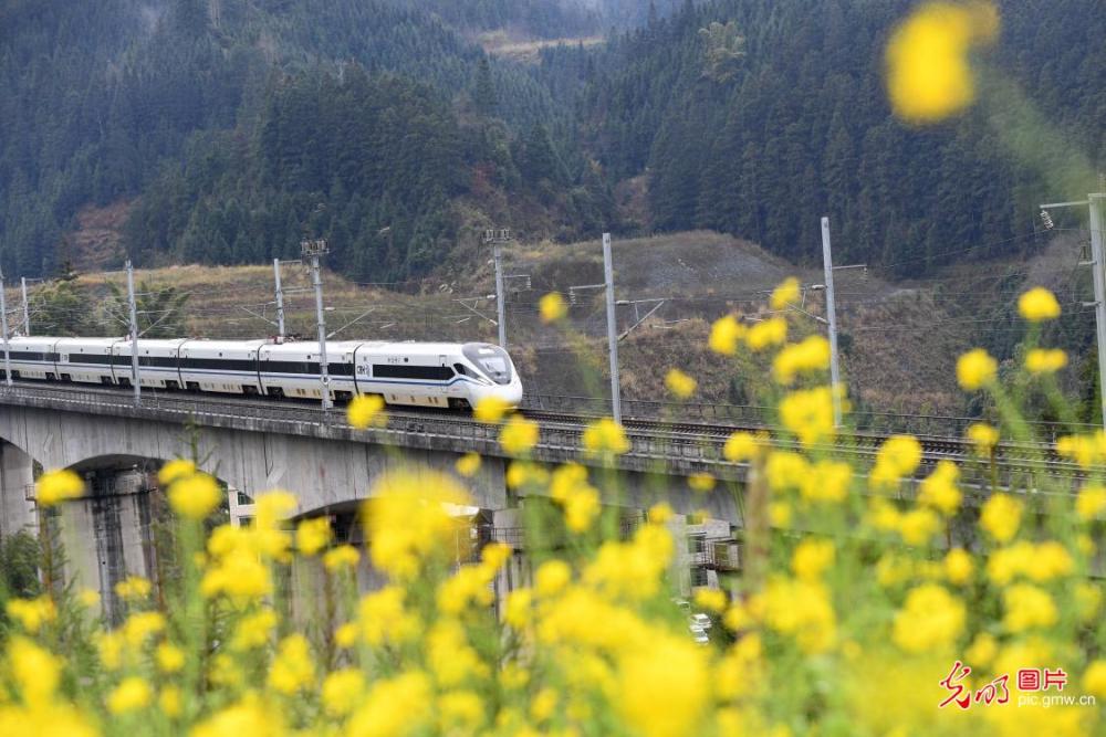 江西省永丰县各乡镇GDP_省100县 市 区 GDP排行出炉,赣州多地上榜