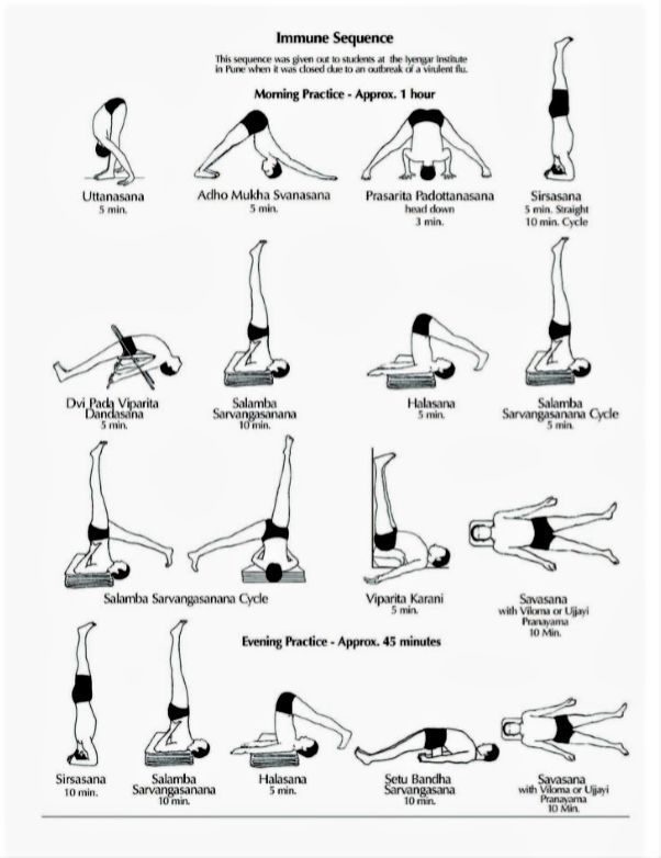 艾扬格大师研发的这组瑜伽体式,增强免疫力(附瑜伽视频)