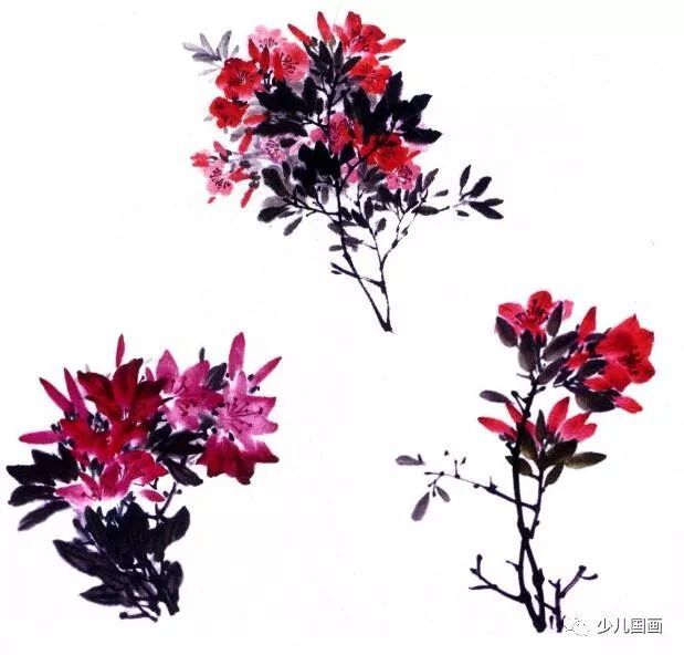 中国画技法 杜鹃花