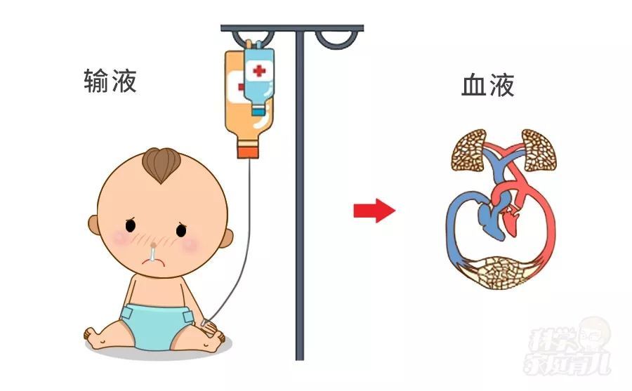 静脉输液的药物是 通过血管直接进入人体,再快速到达各个器官