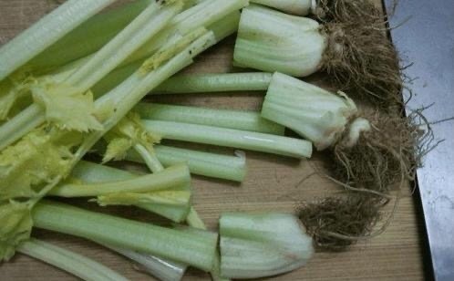 芹菜根的种植方法