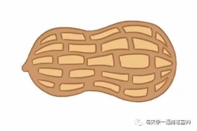 每天学一幅简笔画-花生简笔画简单画法图片大全