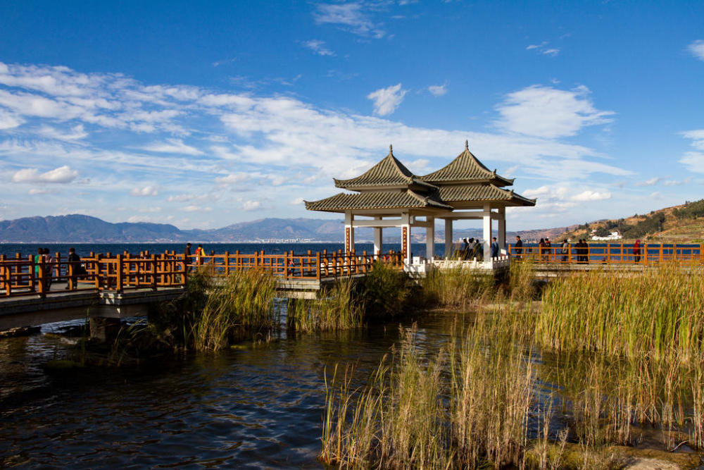 以下全部是月亮湾湿地公园,很漂亮的一个公园,风景如画.