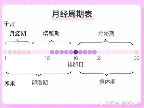 月经,是女性健康的"晴雨表",正常月经有5个标准,来