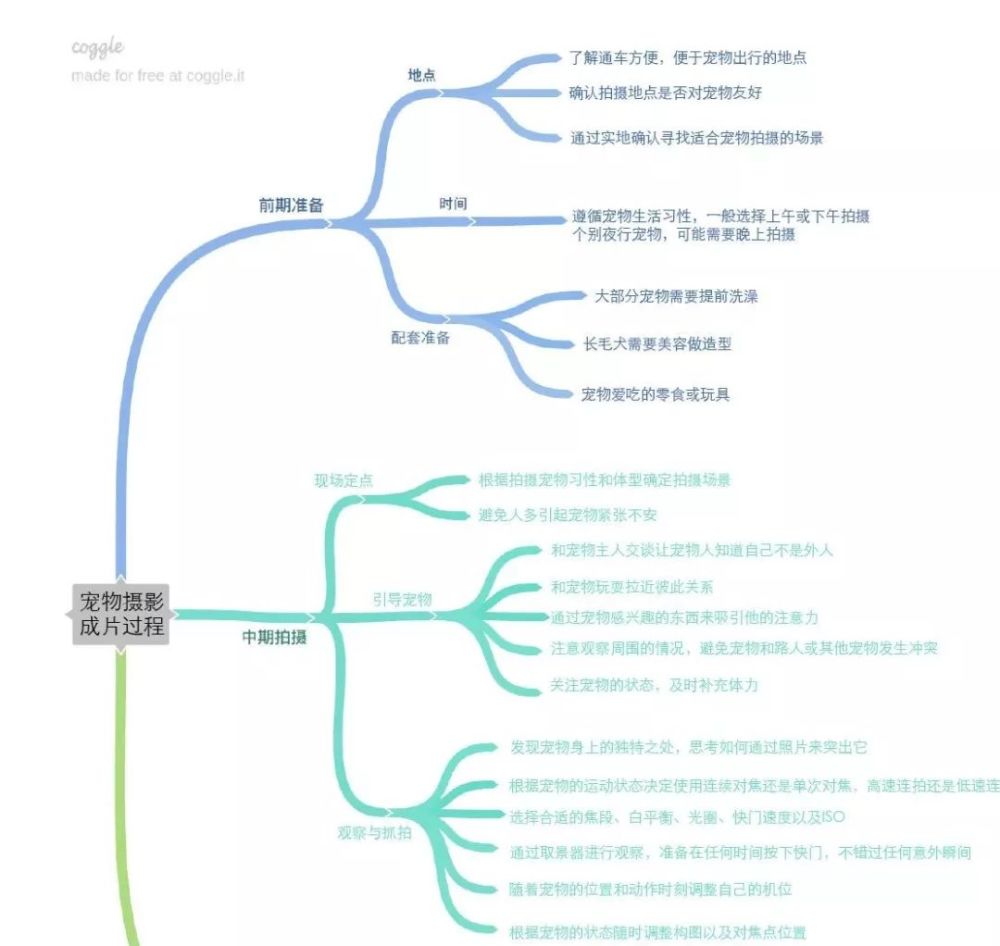 拍摄《天黑,请闭眼》(兔子)的思维导图如下.