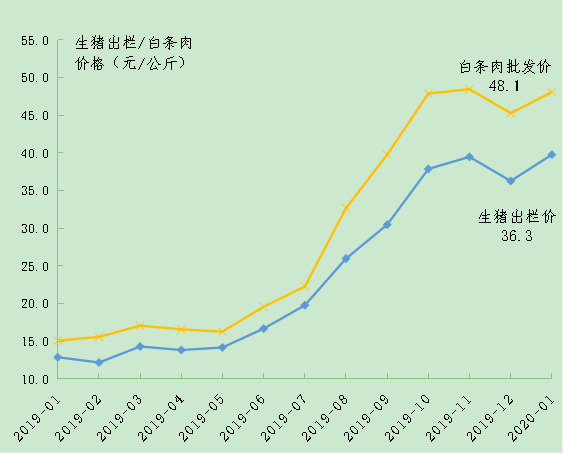 生猪,白条肉价格走势图