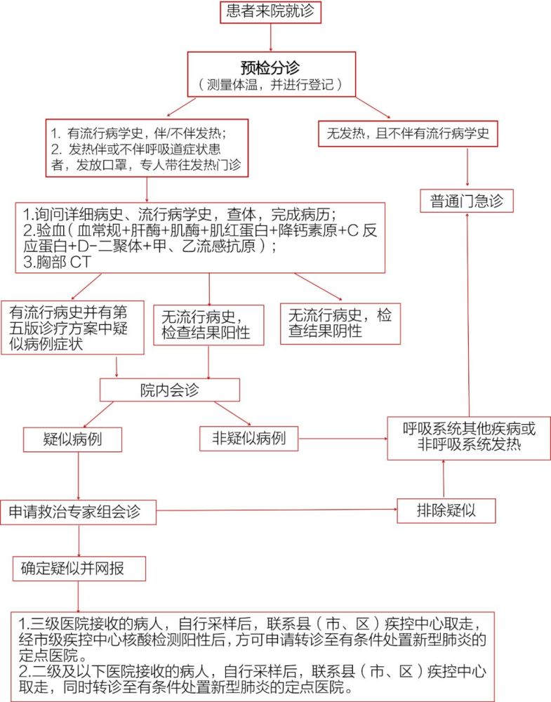 一线必备!发热门诊诊疗流程图