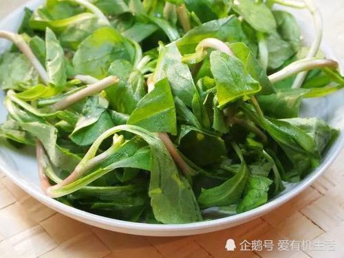 在苏州人春天的餐桌上,这野菜是最清新的味道,你吃过吗?