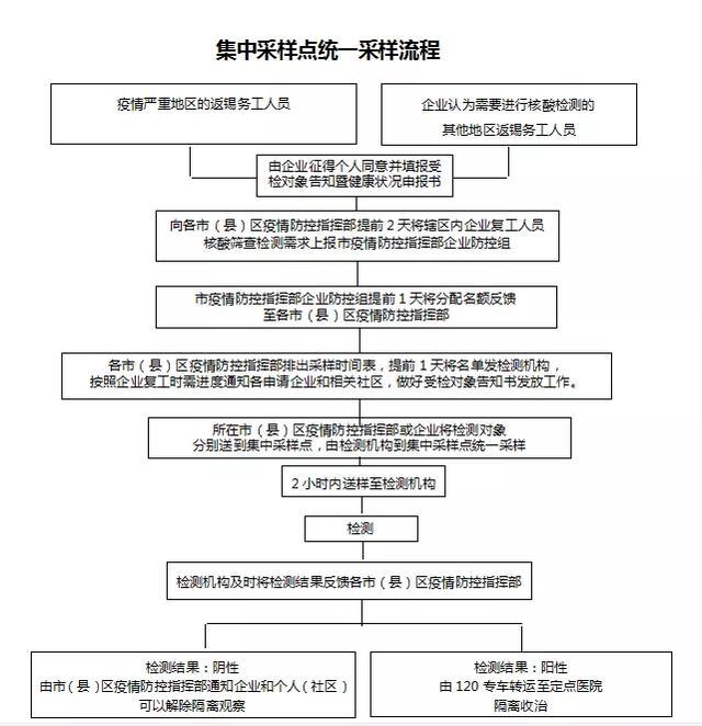 三人口型_人口普查(3)