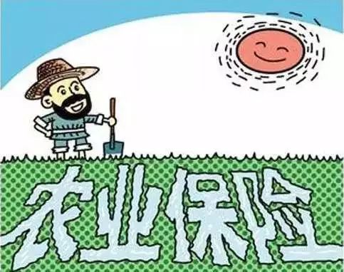 金华外来人口不回家补贴多少_金华人口分布图(3)