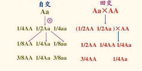 人类发明出的回交育种,难道不存在伦理问题吗?