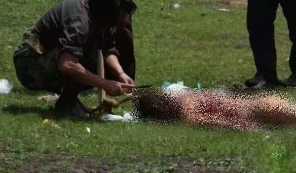 然后召唤那些早已等候光顾的秃鹫们将肉骨全部吃完.
