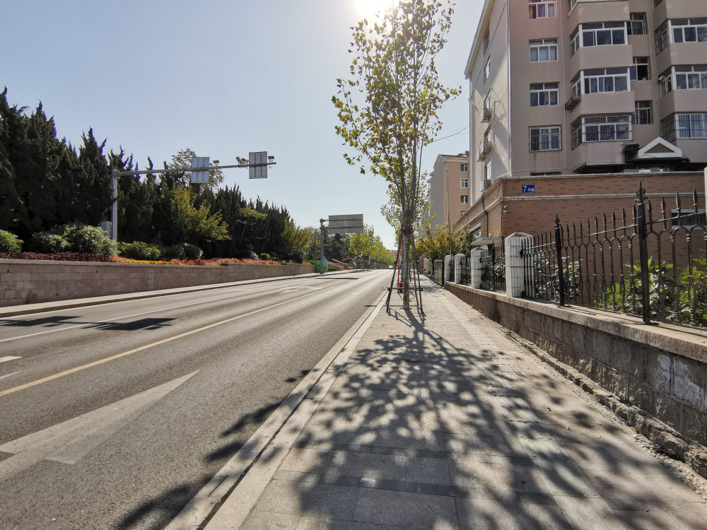 中国街道最干净的城市:连非机动车道都很少,自行车几乎消失