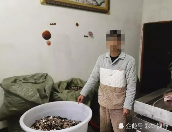 湖南老总槟榔_湖南槟榔