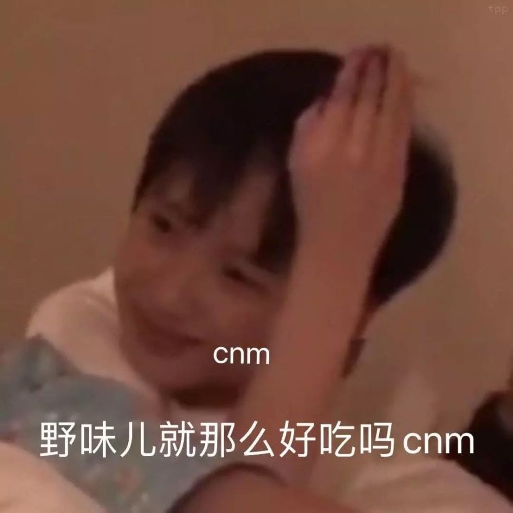 cnm野味儿就那么好吃吗cnm