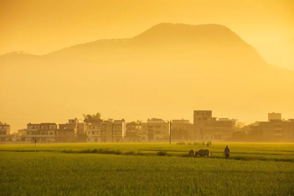 白山有多少人口_白山那个地方有桌子面(3)