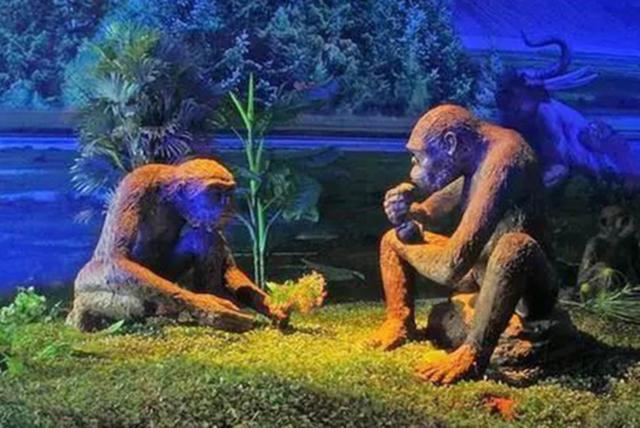 中国最早的直立人,有说生活在170万年前,有说生活在60