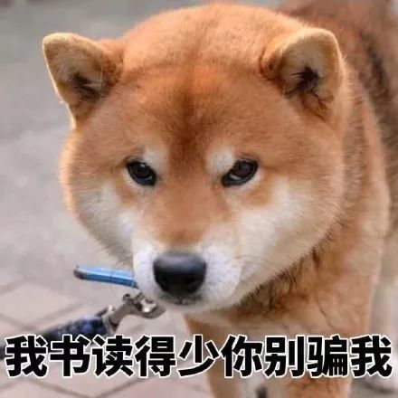 搞笑柴犬表情包,我书读得少你别骗我