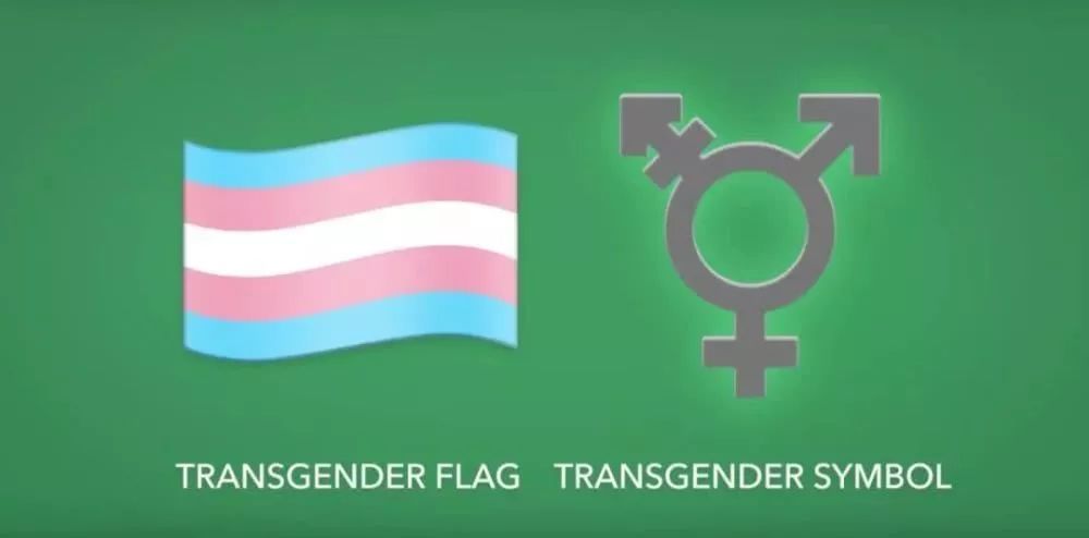 跨性别旗帜和符号