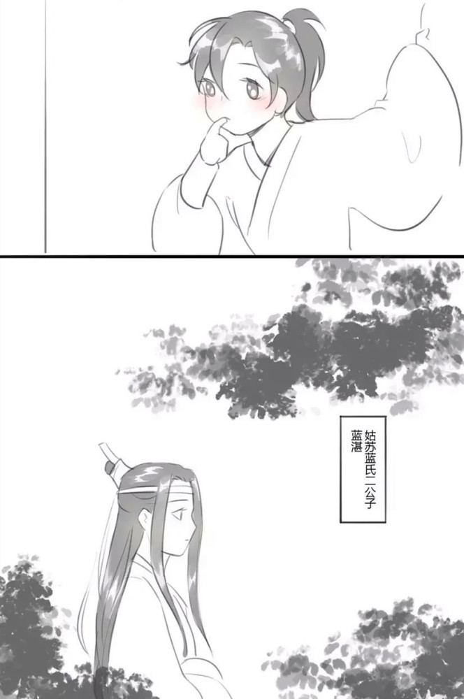 《魔道祖师》藏色散人母子拜访蓝氏,魏婴蓝湛初见,大型真香现场