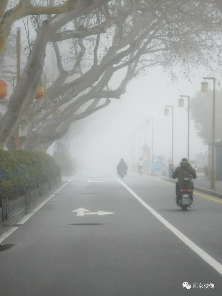 一场大雾,南京变成了寂静岭