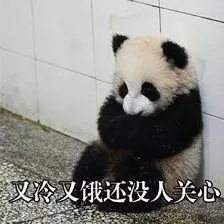 又冷又饿还么人关心