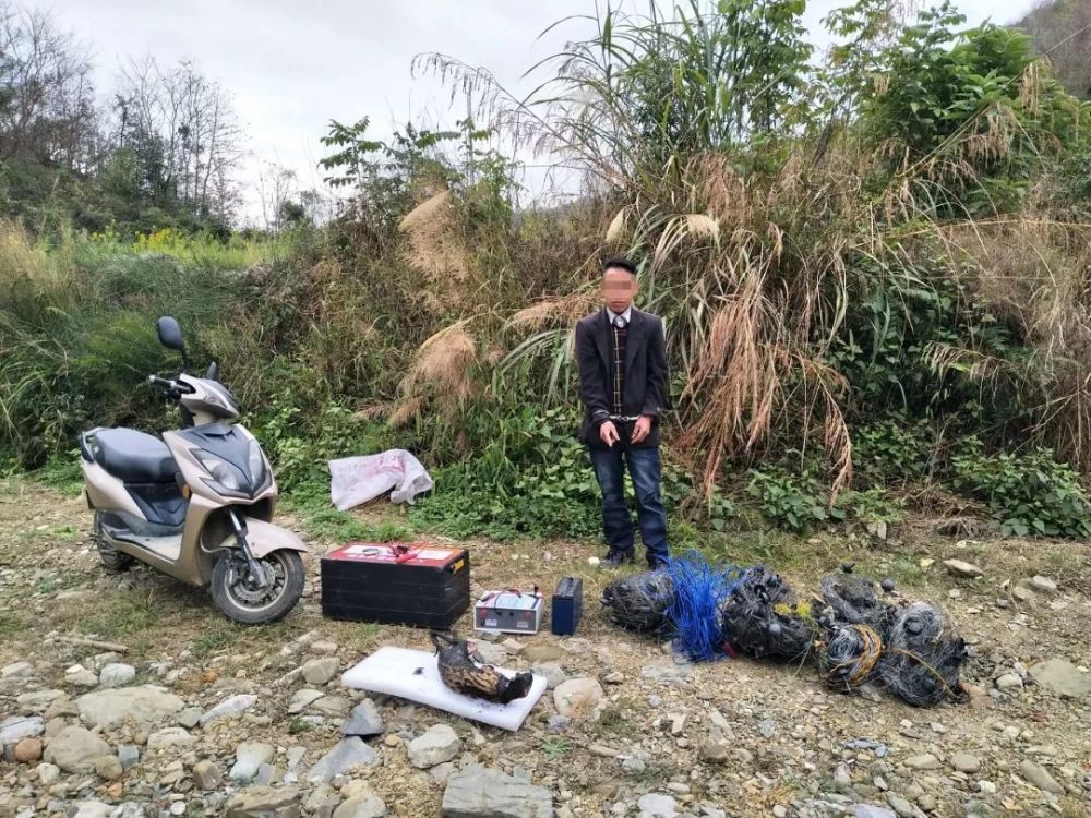 顶风作案,非法捕猎,拘!