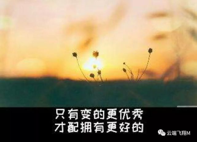 让才华配得上你野心,让好运不敢