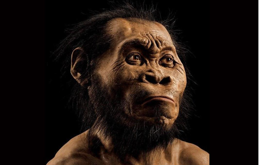 北京猿人或并非中国人的祖先,它们在10万年前被毁灭了