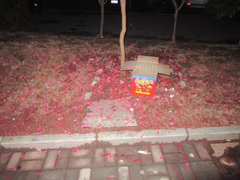 舒城居住人口_舒城中学图片