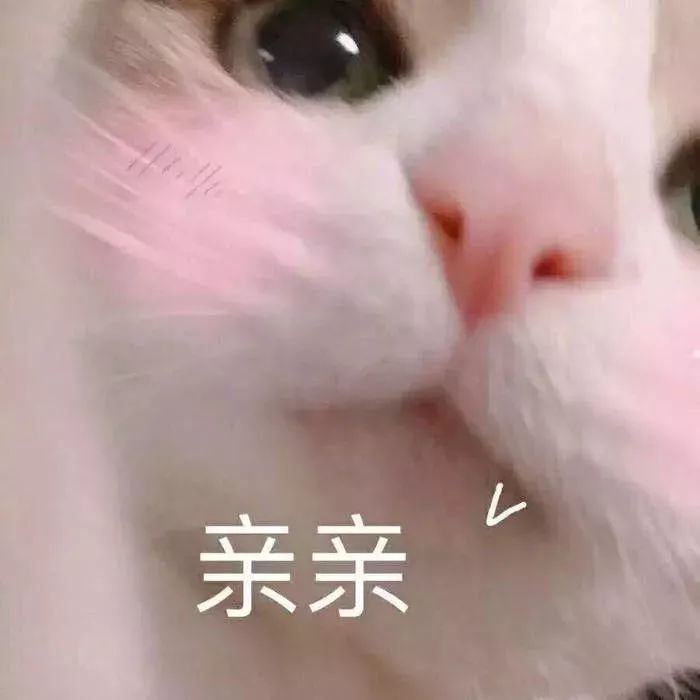 情侣撒娇撩人表情包 你的江湖 多远我都来