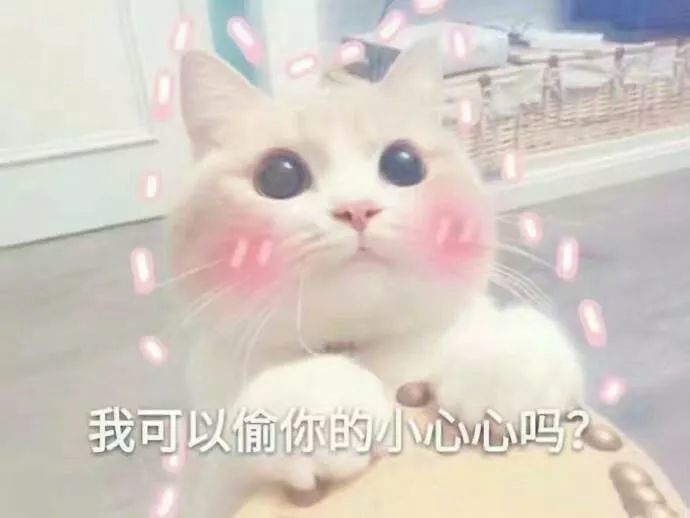今天是七夕情人节啦!一组撒娇撩人情侣用表情包奉上!
