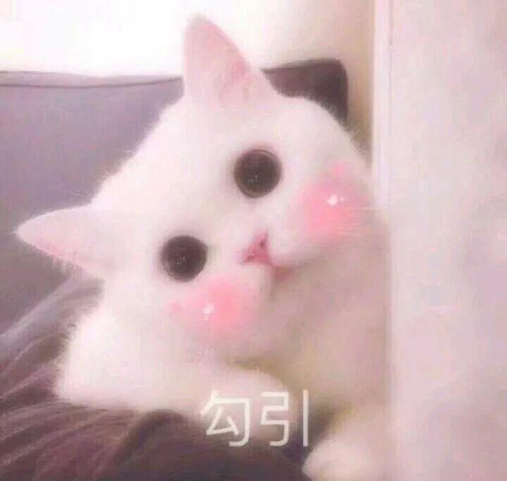 今天是七夕情人节啦!一组撒娇撩人情侣用表情包奉上!