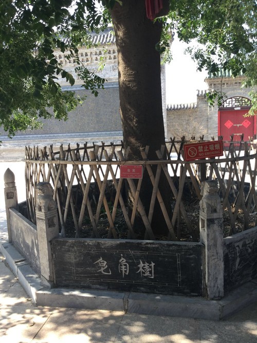 夏季无蚊虫的商丘清凉寺 探寻李白想做客十年 宋太祖