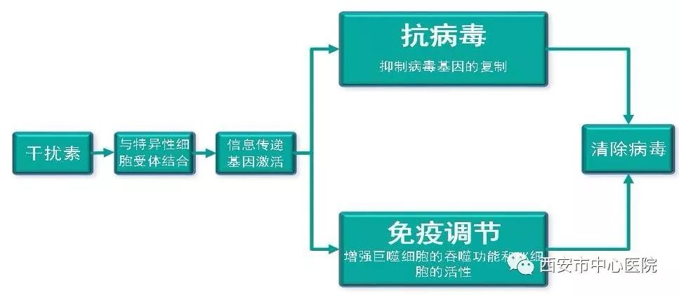 面对新冠肺炎,儿童患者应如何安全使用干扰素?