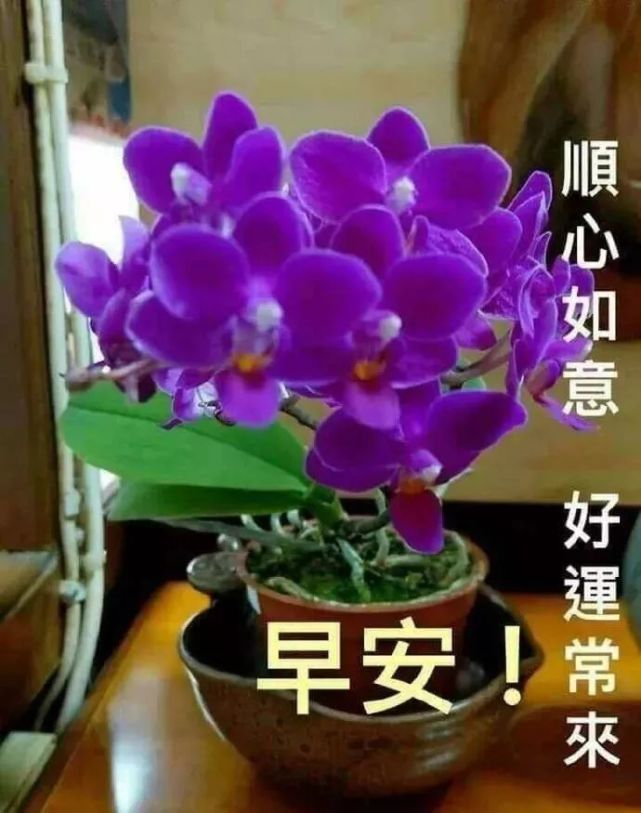 6月7日最漂亮的早上好祝福语图片温馨 清晨群发短语暧