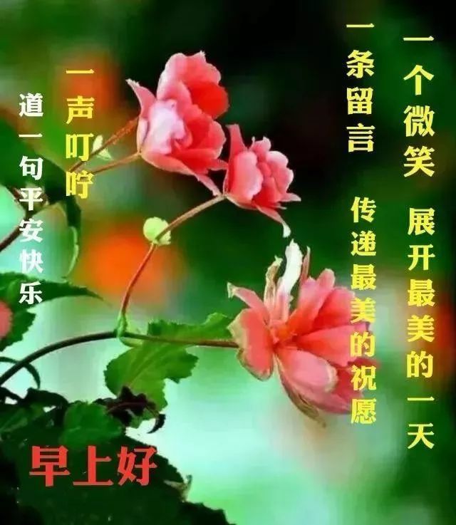 2021早晨好漂亮鲜花表情祝福美图大全微信最新早上好短信祝福语录大全