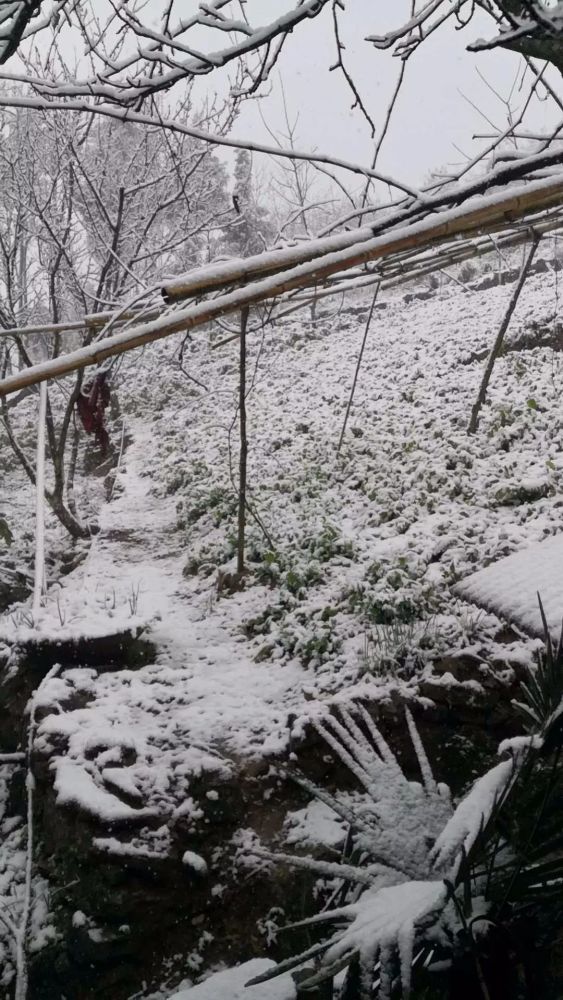 当阳红槽 小编提醒广大市民, 疫情当前,雨雪天气, 大家尽量不要外出