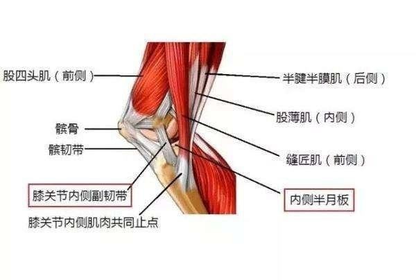 膝关节韧带损伤该如何处理——健康科普