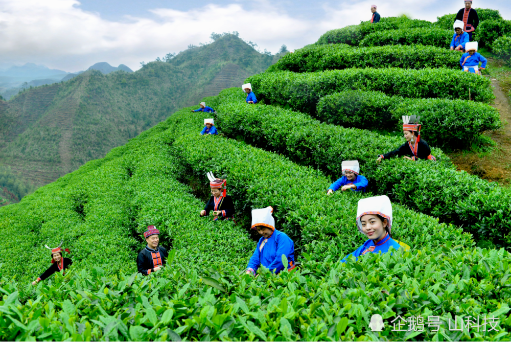 是民俗旅游重点开发村, 2017年3月获得国家民委授予的"中国少数民族